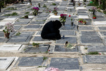 davod ghahrdar (10 of 15).jpg